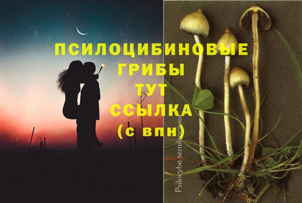 2c-b Алзамай