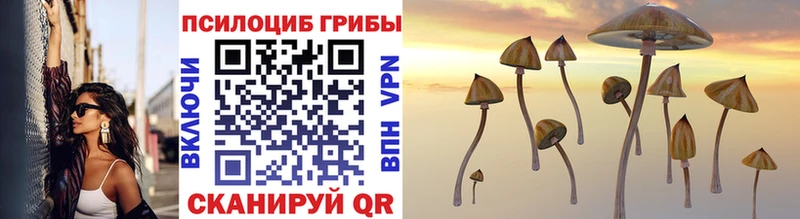 blacksprut ссылки  Плавск  Псилоцибиновые грибы Magic Shrooms  маркетплейс официальный сайт  где продают наркотики 